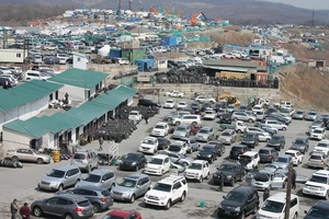 авторынок зеленый угол фото