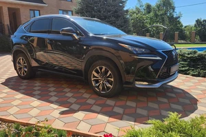 Lexus NX200T Z10 территория брусчатки, садовые растения, коттедж