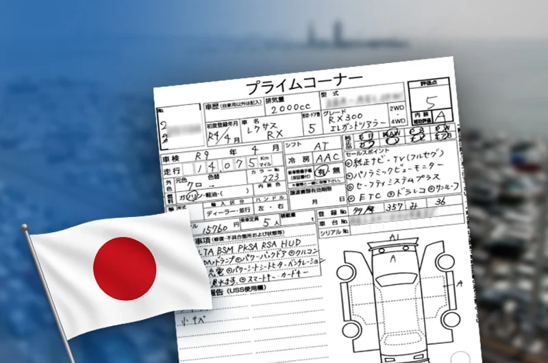 Расшифровка аукционника, аукционный лист