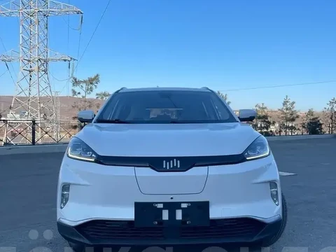 Weltmeister EX5 2019