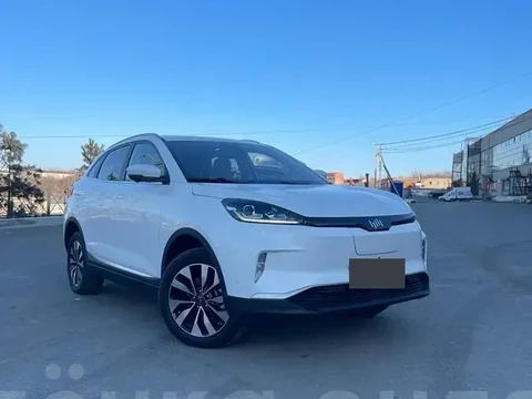 Weltmeister EX5 2019