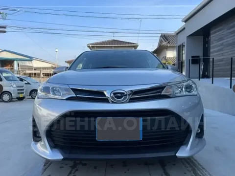 Toyota Corolla Fielder 2019