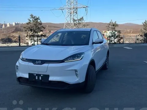 Weltmeister EX5 2019