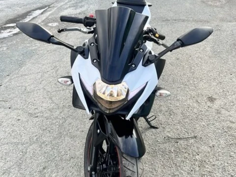 Suzuki GSX 250 2021
