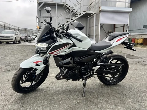 Kawasaki Z 400 2021