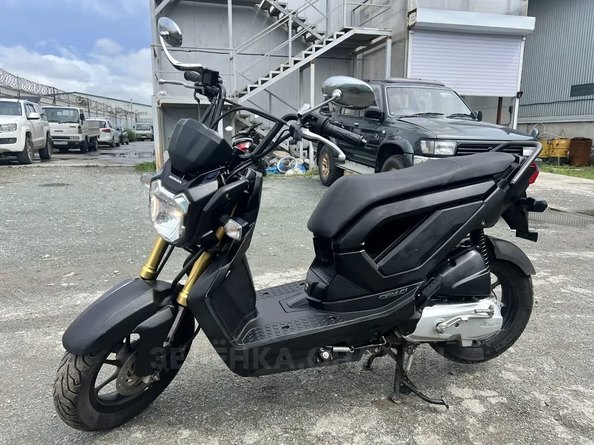 Honda Zoomer 2013