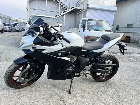 Suzuki GSX 250 2021