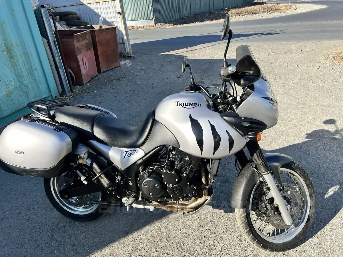 Triumph Tiger 955i 2004