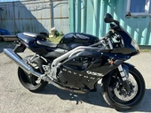 TRIUMPH DAYTONA 955i 2003
