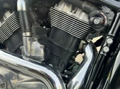 HARLEY-DAVIDSON VRSCDA1250 NIGHTROD 2008