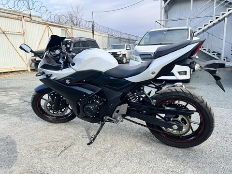 Suzuki GSX 250 2021