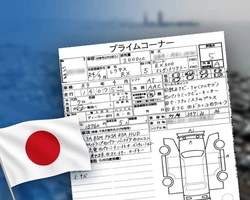 Расшифровка аукционника, аукционный лист