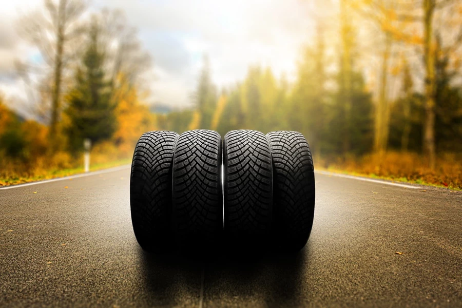 шины на асфальте осенний пейзаж