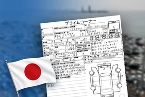 Расшифровка аукционника, аукционный лист