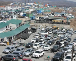 авторынок зеленый угол фото