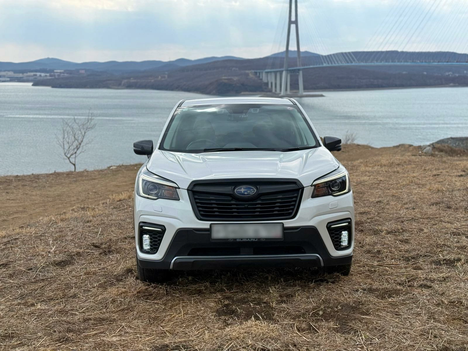 Subaru Forester 2021 SK5 на фоне моста на остров русский Владивосток