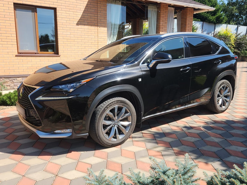 Lexus NX200T Z10 на фоне котеджа, садовые растения